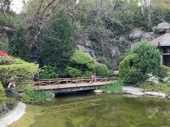 -上海吴淞炮台湾国家湿地公园