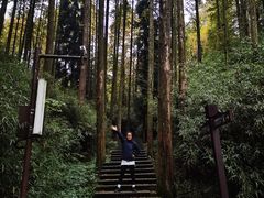-山王坪喀斯特国家生态公园
