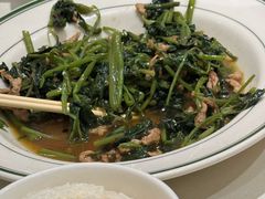 鲜山芹菜炒肉丝-吉林省林业宾馆-餐厅