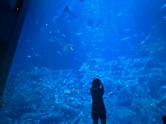 -香港海洋公园