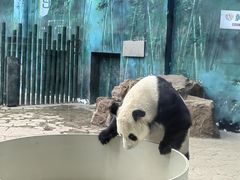 -沈阳森林动物园