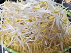 豆芽-堂客老火锅(大城小爱店)