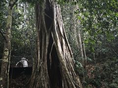 -中国科学院西双版纳热带植物园