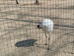 -秦皇岛野生动物园