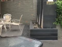 -钱柜音乐会所(罗湖店)