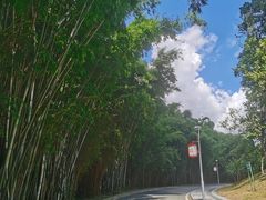 -东莞植物园