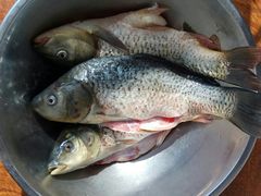 -大连熟食品交易中心