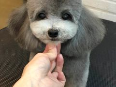 -PETKIT小佩宠物(古北店)