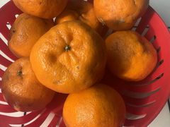 -晓彭肥肠鸡·泡椒鸡火锅(水木天地店)