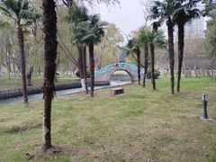 -中央公园(苏州工业园区)