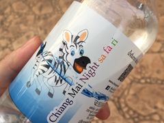 -清迈夜间动物园