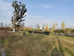 -桂溪生态公园
