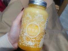 -野萃山·潮汕厚果汁(十亩地店)