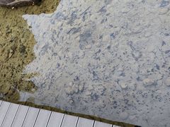-余姚阳明温泉山庄