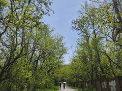 -西尖山公园