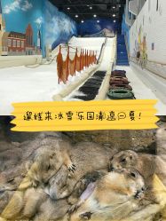 -Mr·Kuma酷么先生雪之乐园