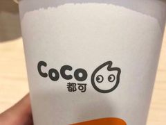 -CoCo都可(文星广场店)