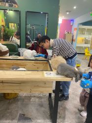 -神奇动物撸宠馆·羊驼·小浣熊·异宠(豫园店)