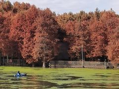 -青山湖景区