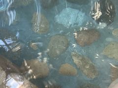 -中家鑫园温泉酒店鑫悦汤泉