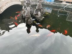 -寻味肇庆·八姑农庄·广府西江菜