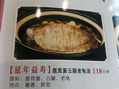 -椿记烧鹅(叠彩店)