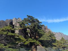 -黄山玉屏楼宾馆餐厅