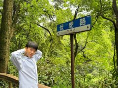 -峨眉山报国寺