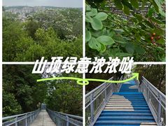 -佛山华盖山公园