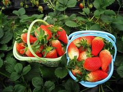 -心乐生活新鲜屋(星海广场店)