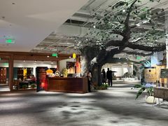 -大视光学•LINDBERG林德伯格•全球手工眼镜集合店(王府井店)