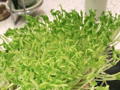 -椰子营·椰子鸡火锅(万象里店)