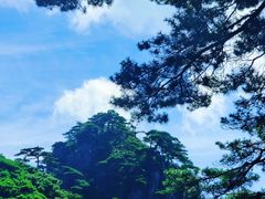 -黄山风景区