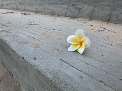 -海口喜来登酒店