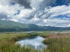 -腾冲北海湿地