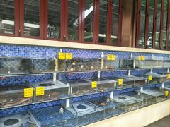 水产区-睿柏云酒店-餐厅