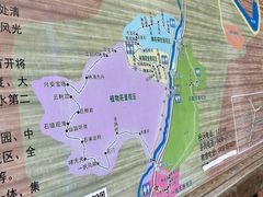 -汤旺河林海奇石景区