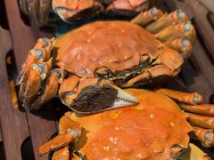 -如轩·海鲜砂锅粥·潮汕菜(海珠店)