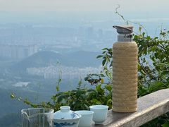 -紫金山山顶公园
