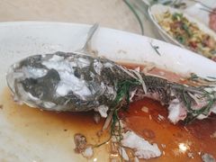 -开心农家菜