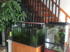 -繁花足道(梅江店)