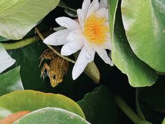 -北岭山森林公园