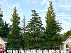 -日照海滨国家森林公园