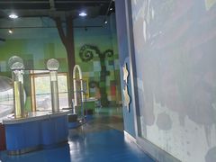-湖南省科学技术馆