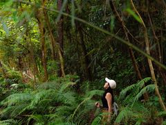 -广州白江湖森林公园