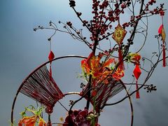 -云溪植物园