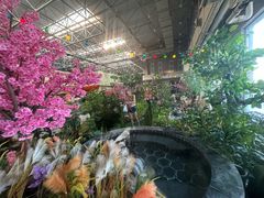 -兴芮温泉度假区