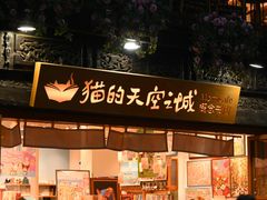 -猫的天空之城概念书店(杭州南宋御街店)