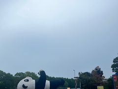 -苏州太湖国家湿地公园