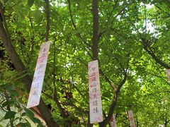 -西安大兴善寺